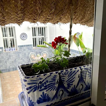 La Esencia De Angela Apartment Cordoba